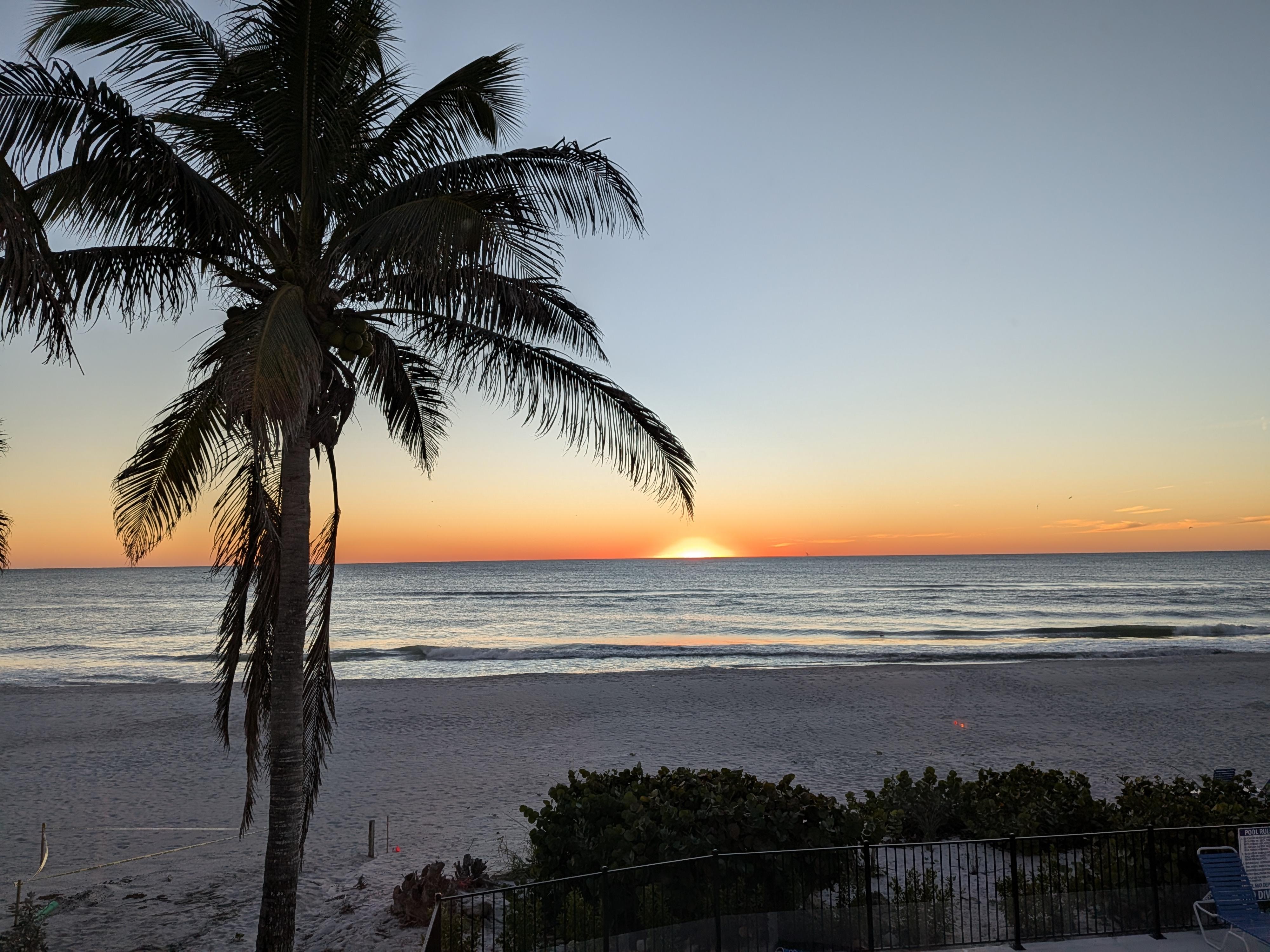 View from the living room window of this unit