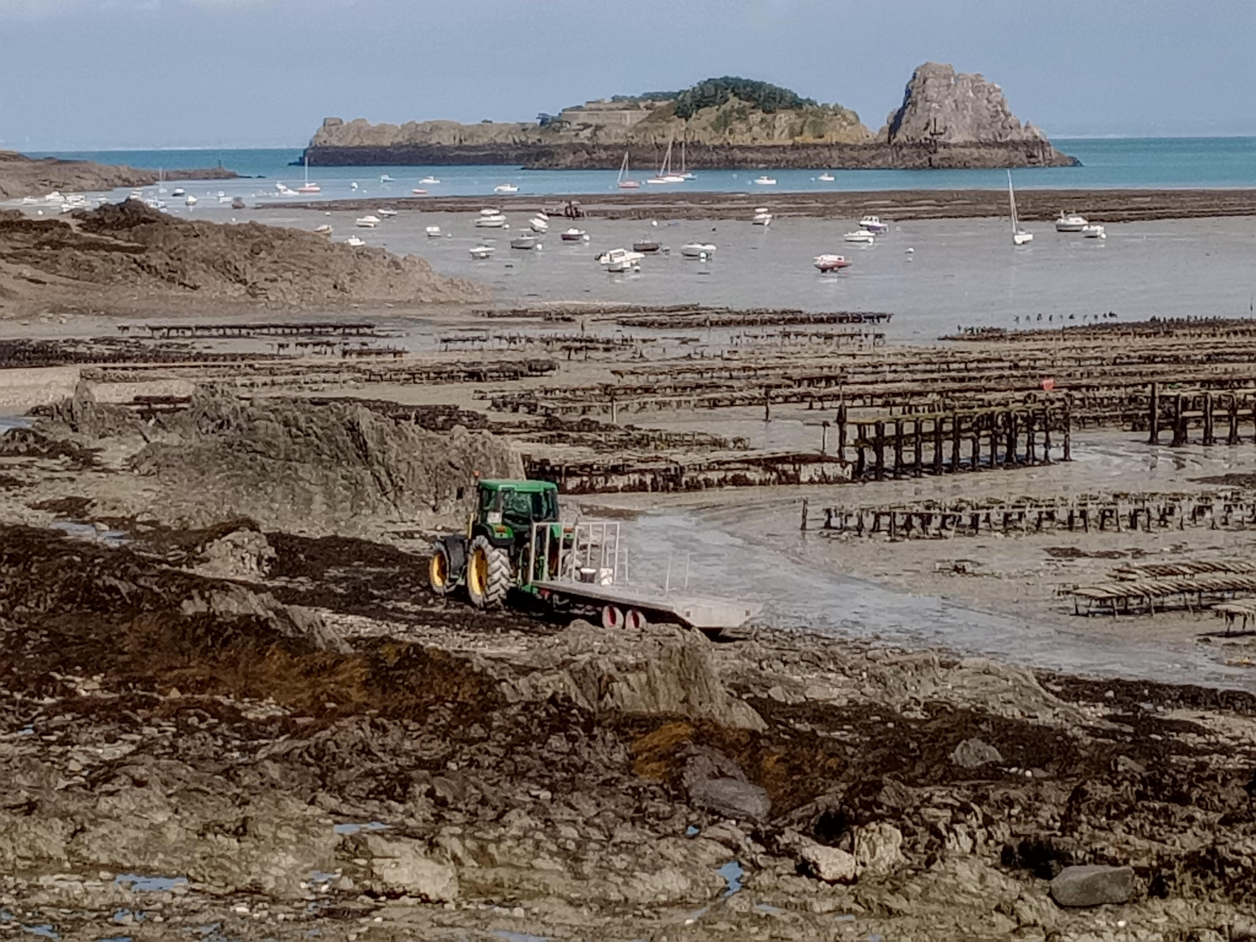 C'est photographié au marché aux huitres