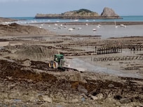C'est photographié au marché aux huitres