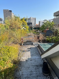 屋上は荒れ果てています。