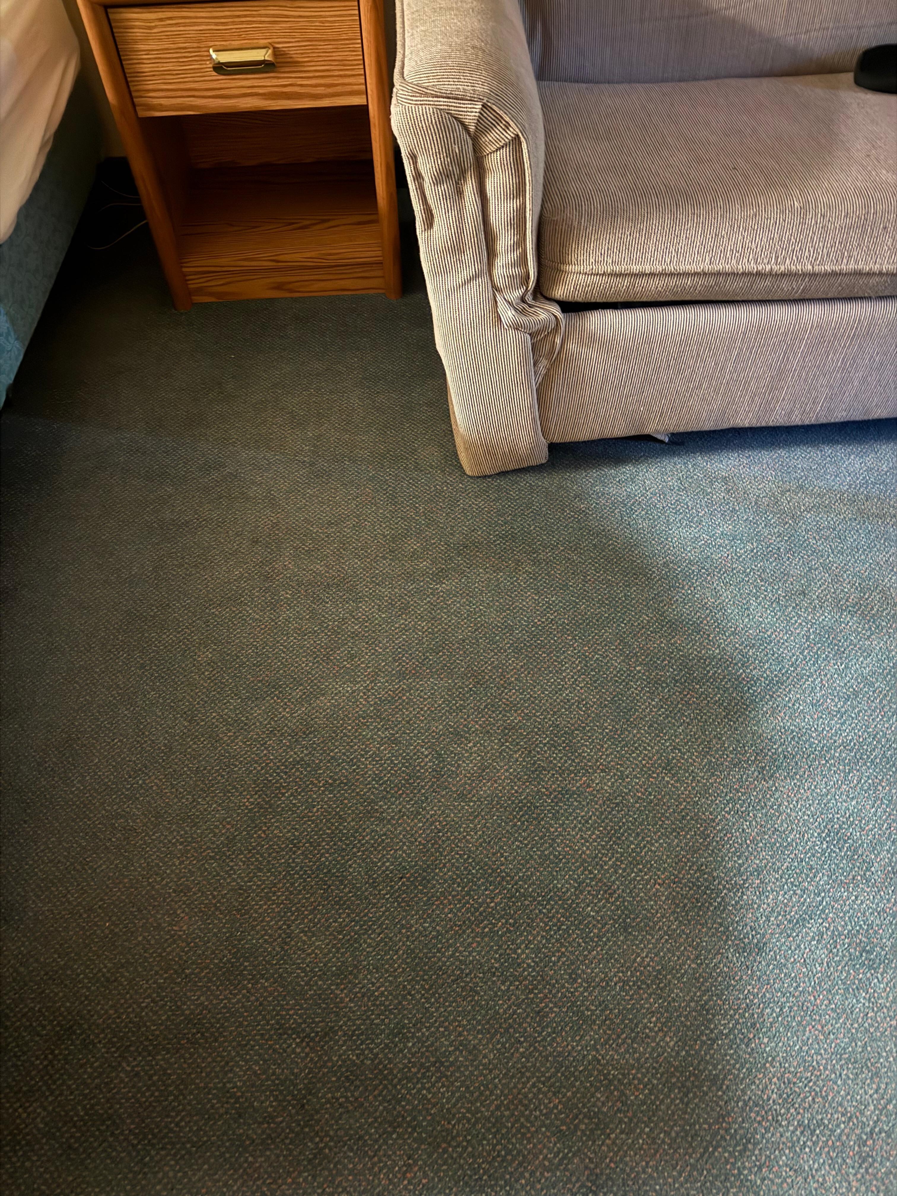 Sleeper sofa, should be sent to dump plus even if we wanted to use it there were no linens - the 40 plus year old bed and mattress had only two flat pillows 