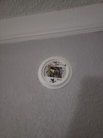 Smoke alarm inoperable.