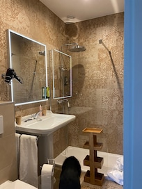 The bathroom