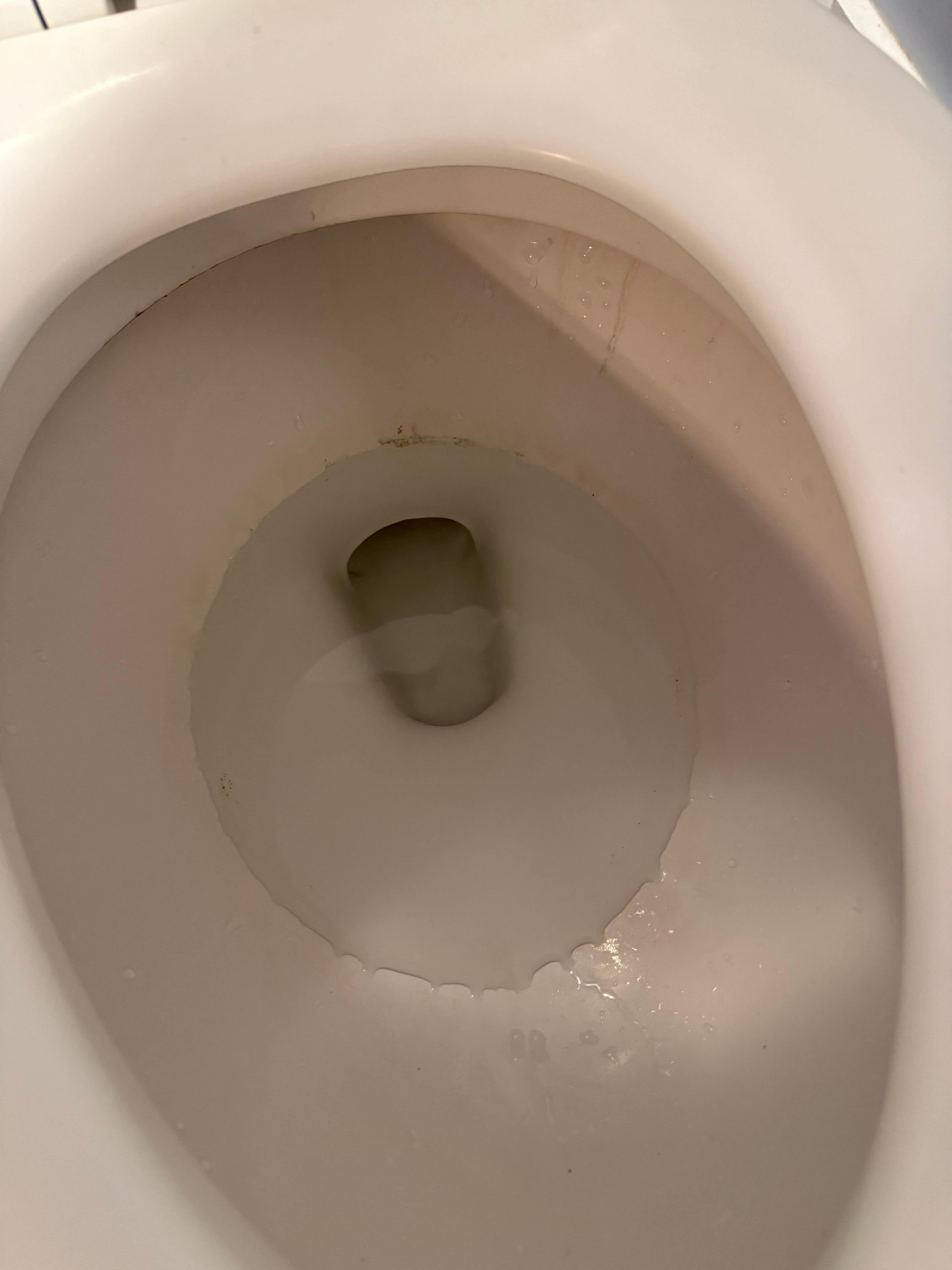 Toilet not clean