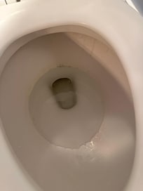 Toilet not clean