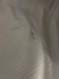 Stained sheets, looks like mold stain