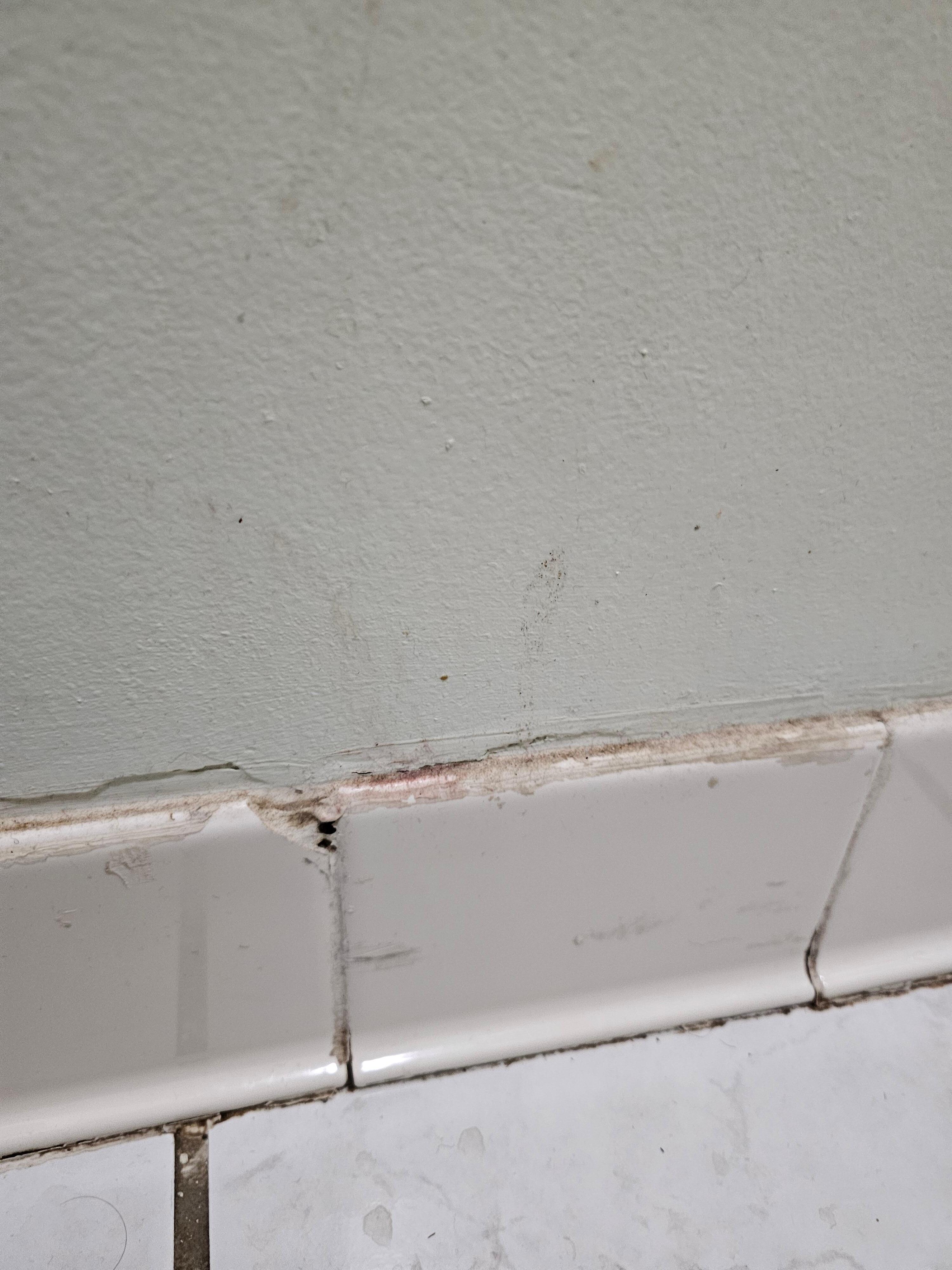 Base boards in bathroom