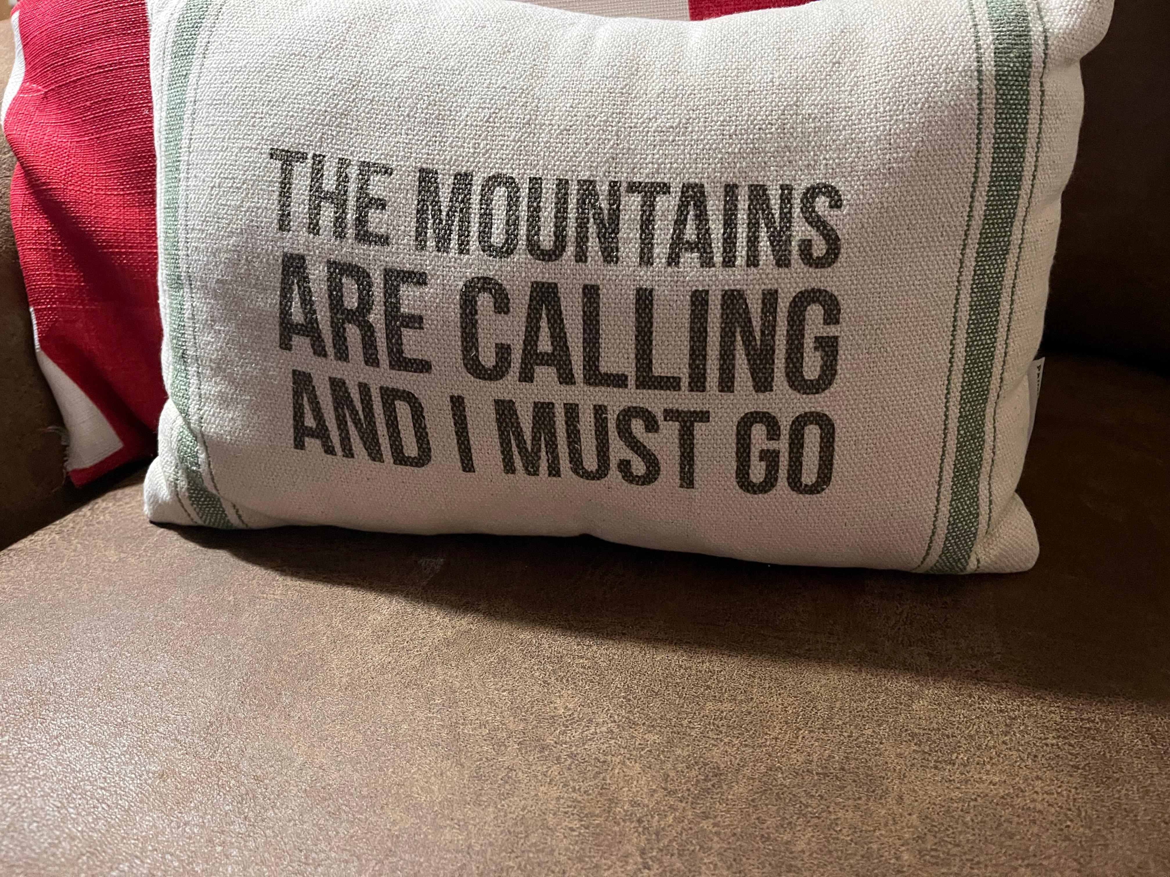 This throw pillow at the condo spoke to me!