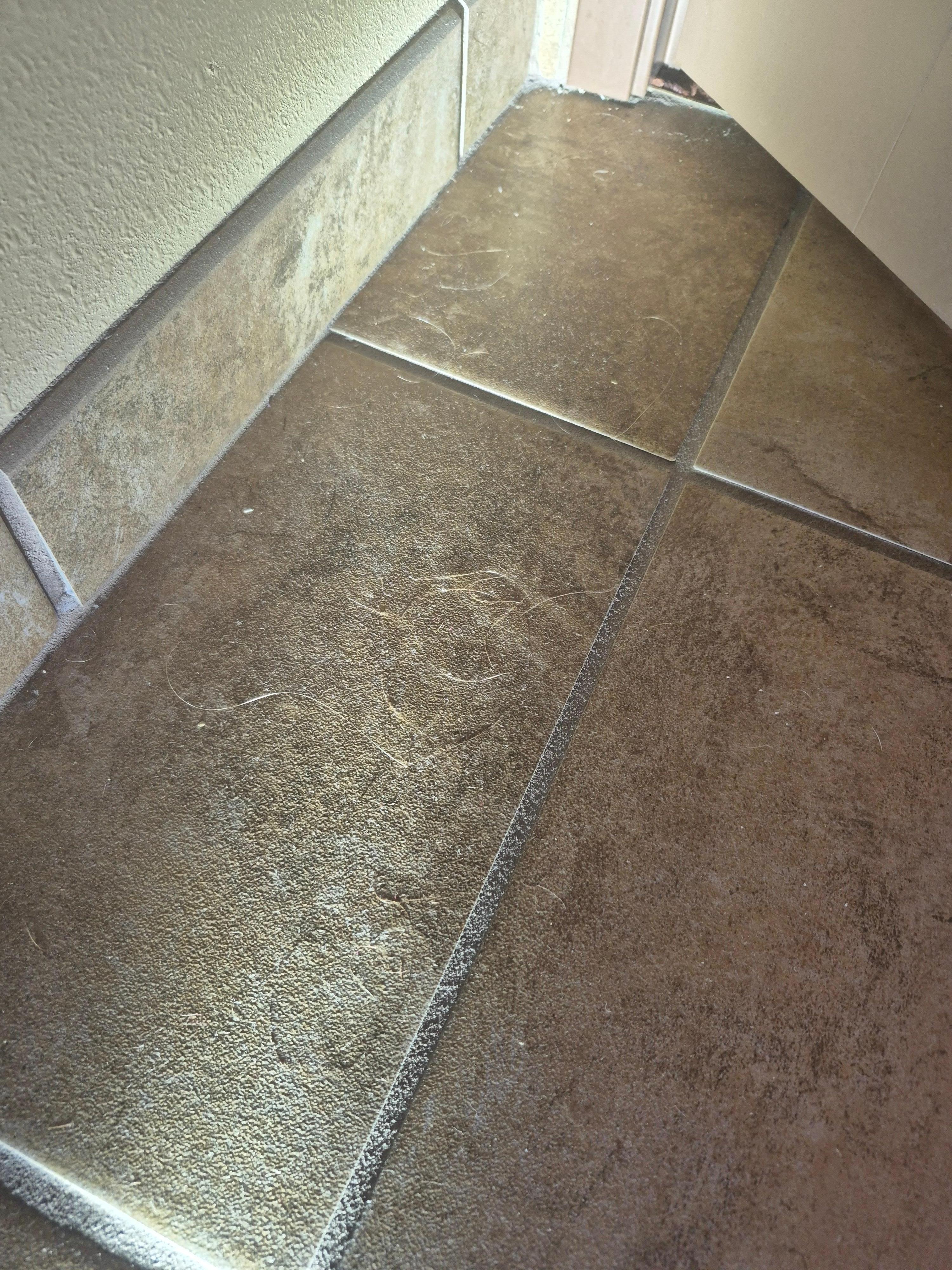 Bathroom floor covered in blond hairs