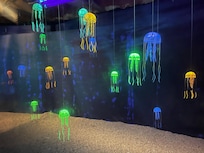Aquarium