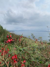 Dzogchen Beara
