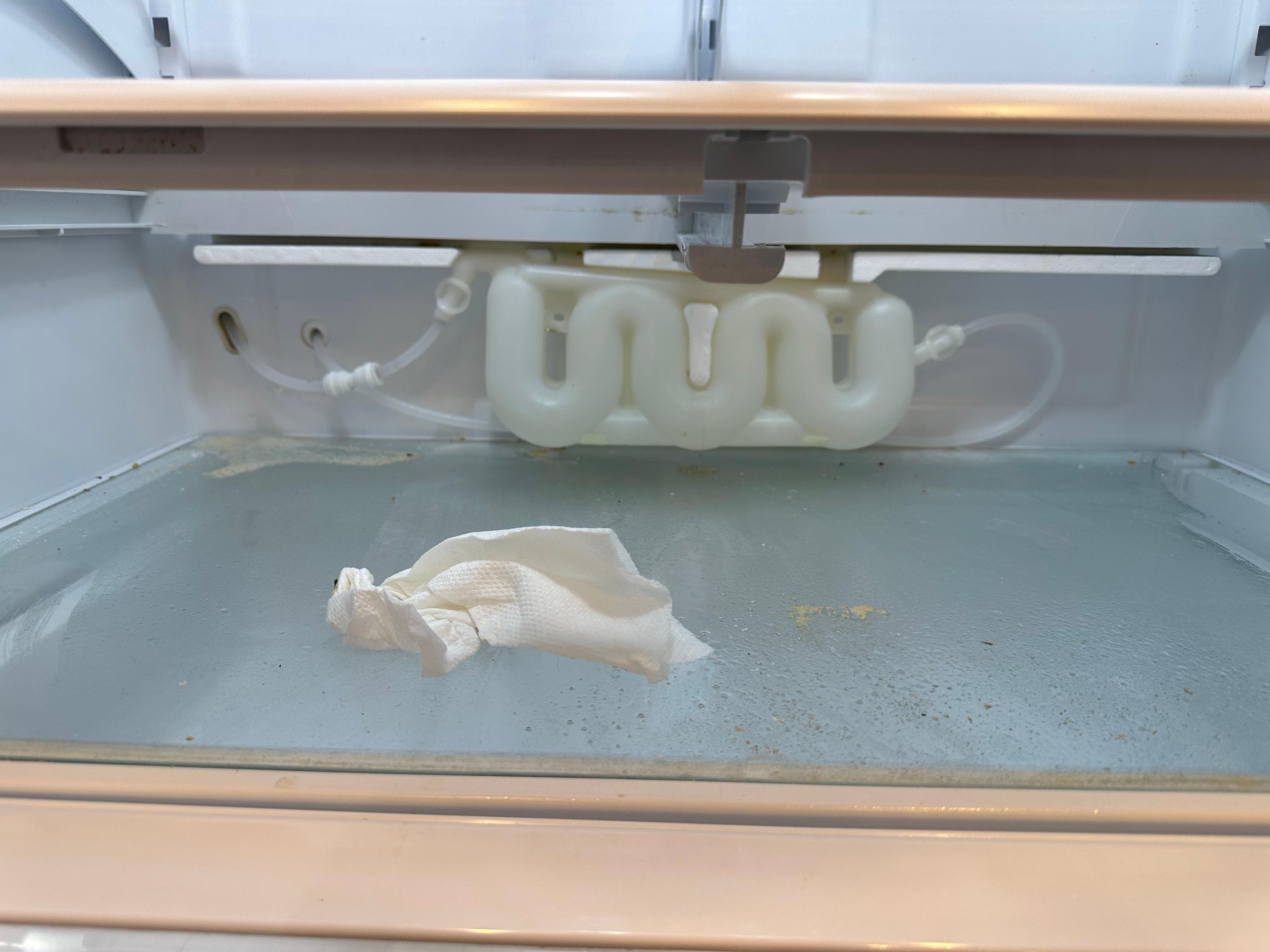 Cleaning off food spilled on shelf in frig before our arrival