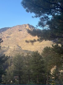 View from Patio
