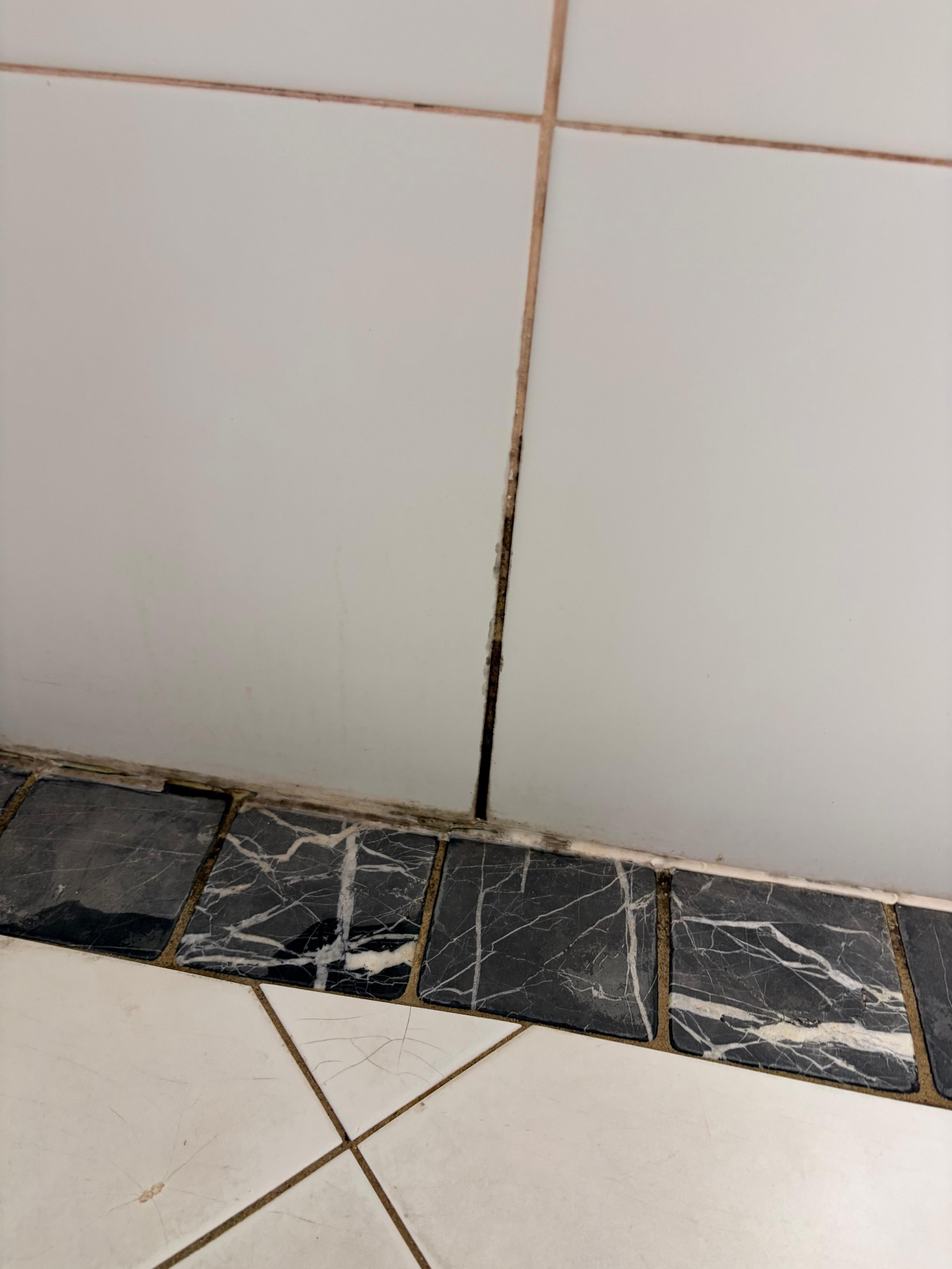 Black mould in showers!