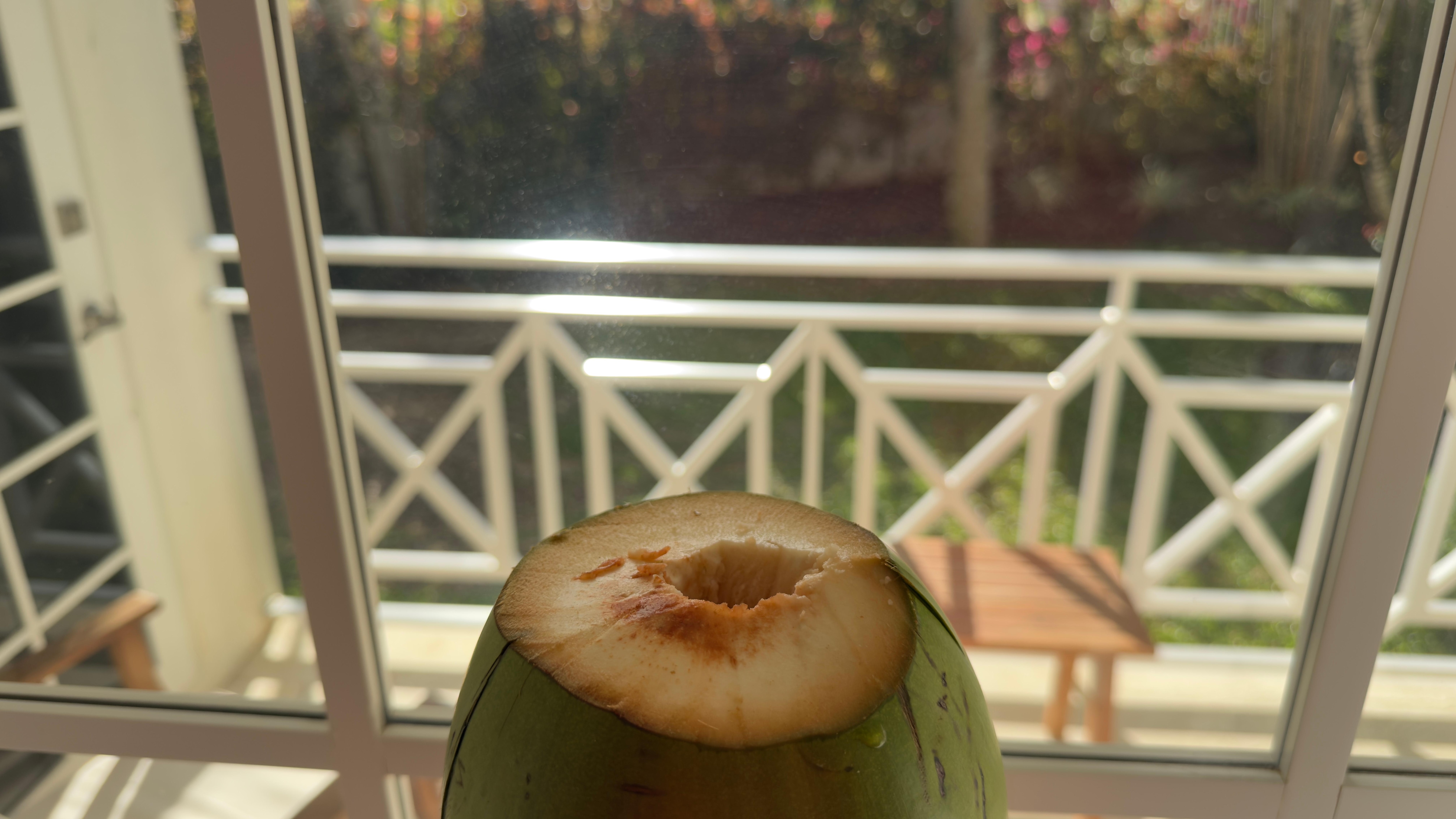 Drinking from a coconut overlooking our porch