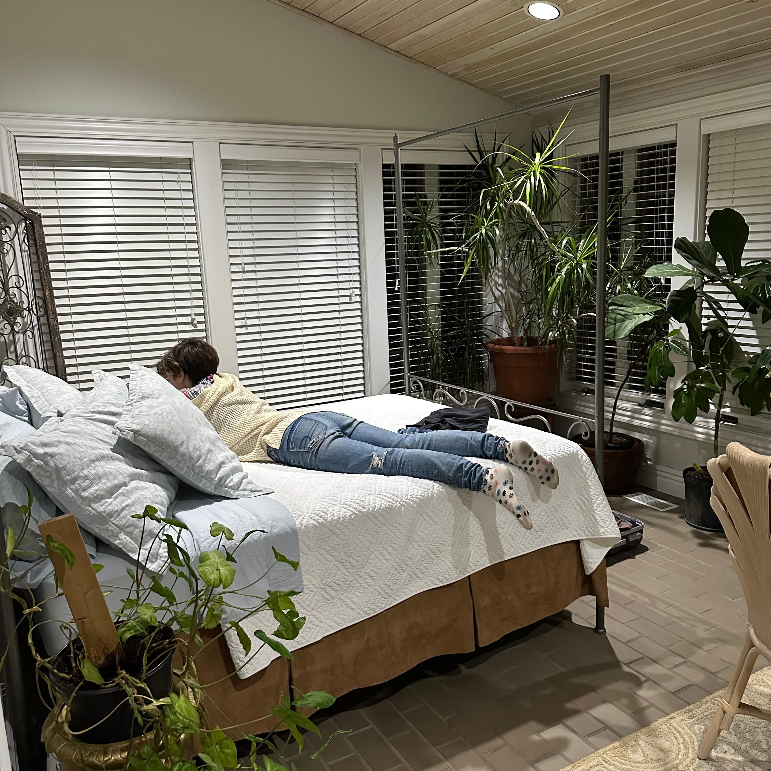 Lots of plants and windows with views to farm. 