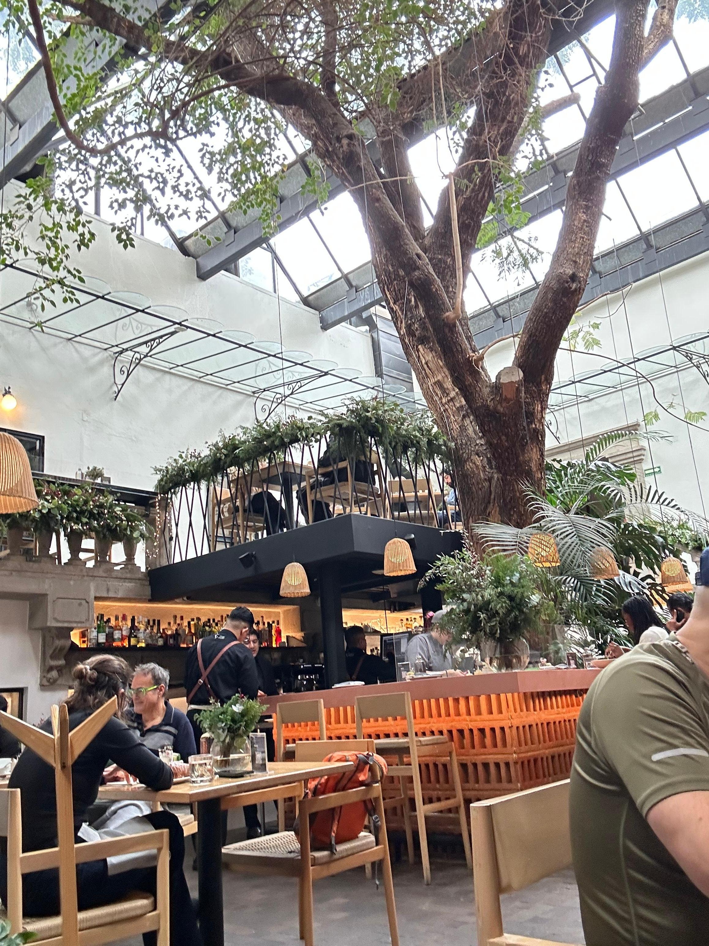 Roma Norte architecture 