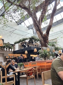 Roma Norte architecture