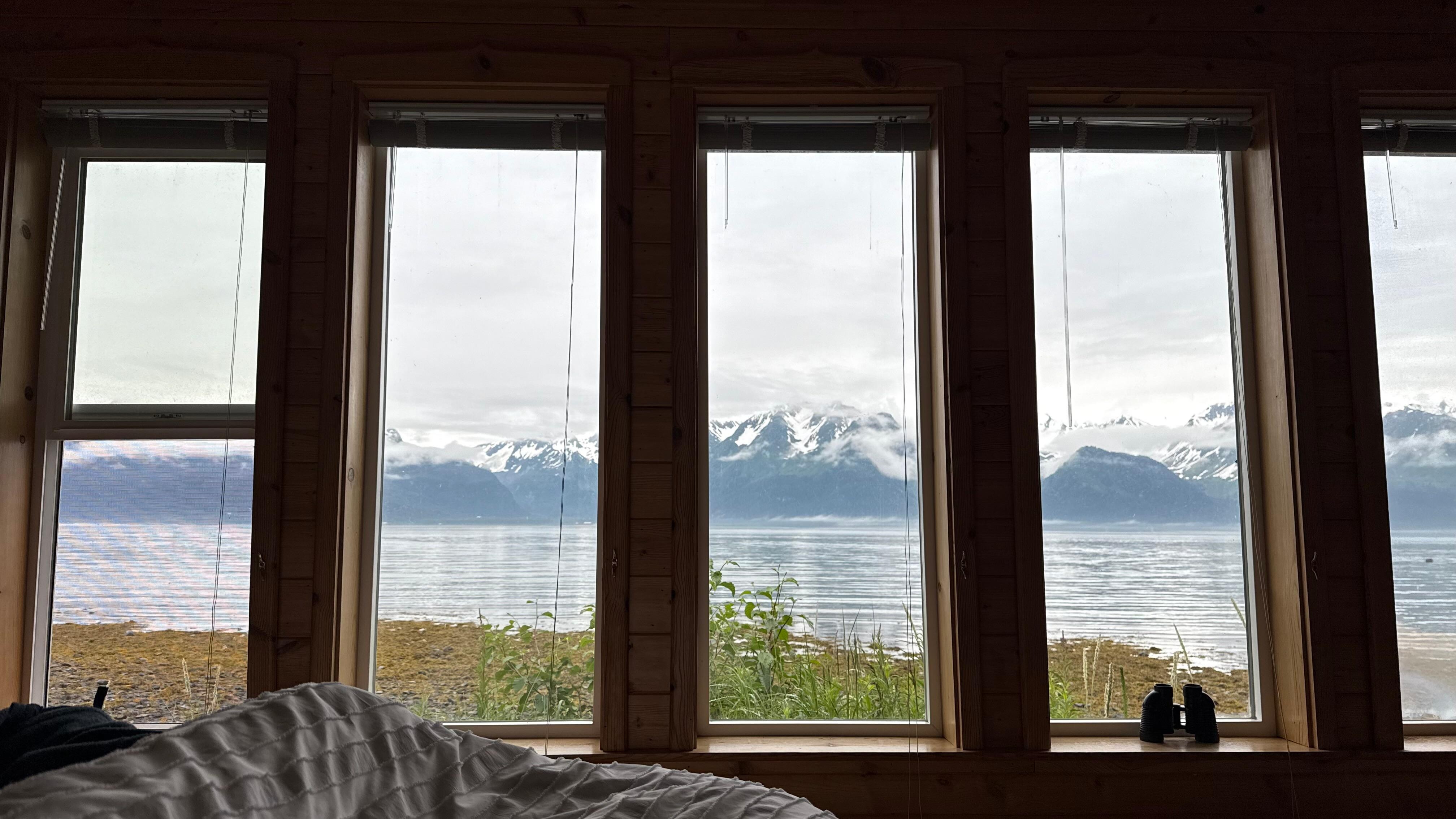 View out windows