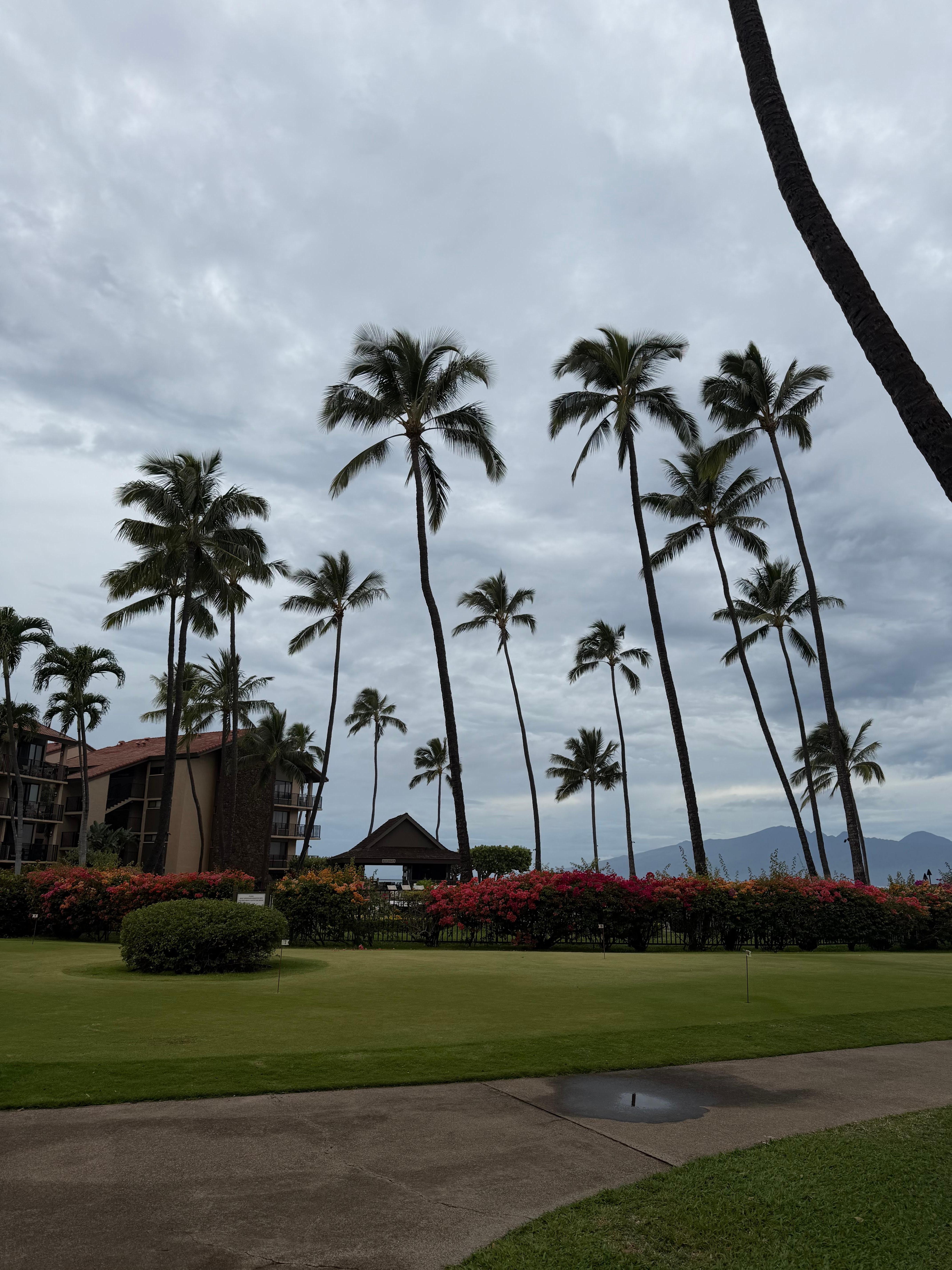 Walking around the property 