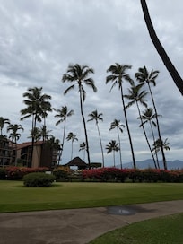 Walking around the property