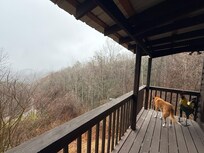 Foggy atmosphere (back deck)