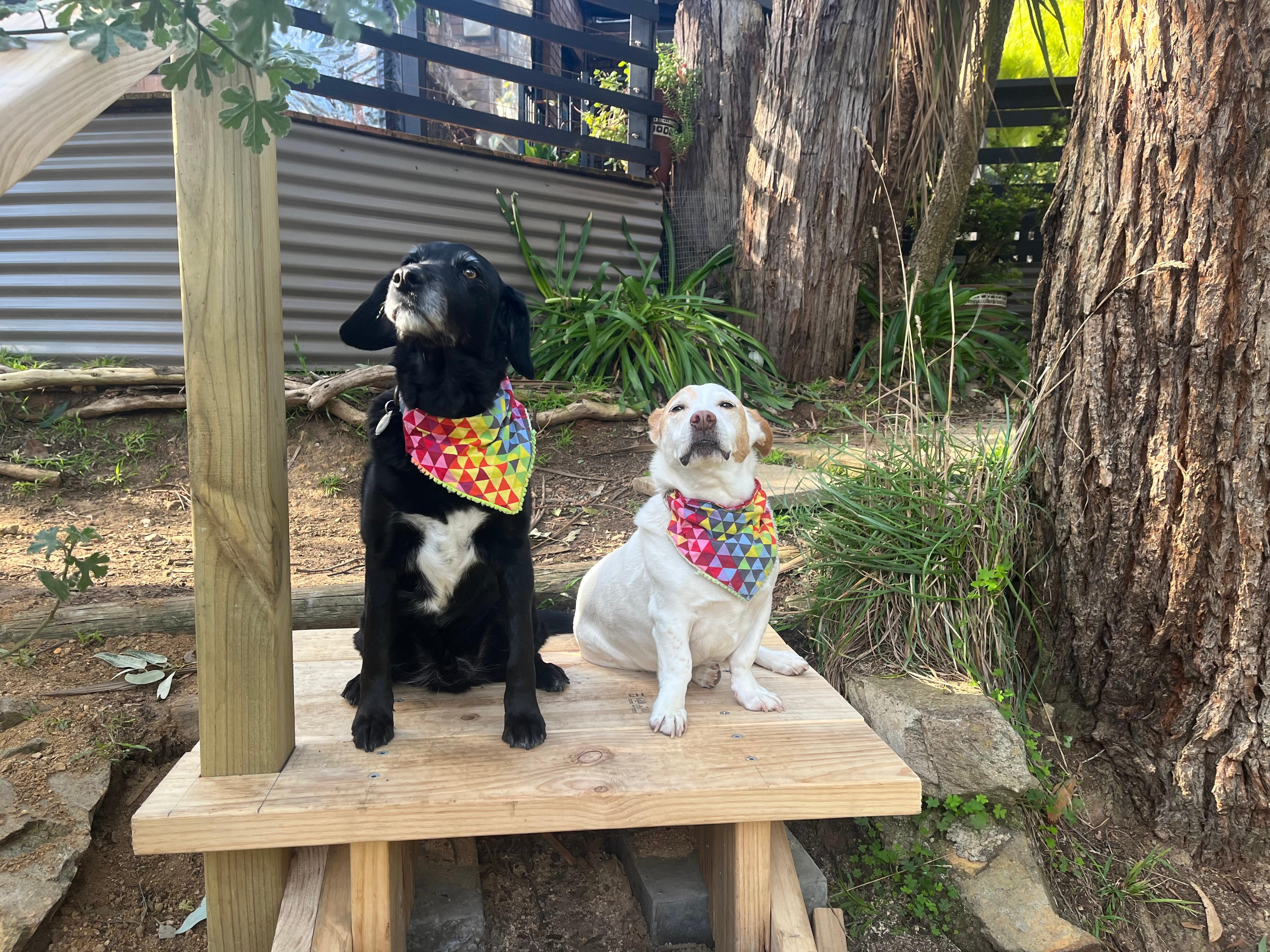 All dressed up for the grand opening of the stairs!