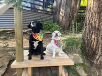 All dressed up for the grand opening of the stairs!