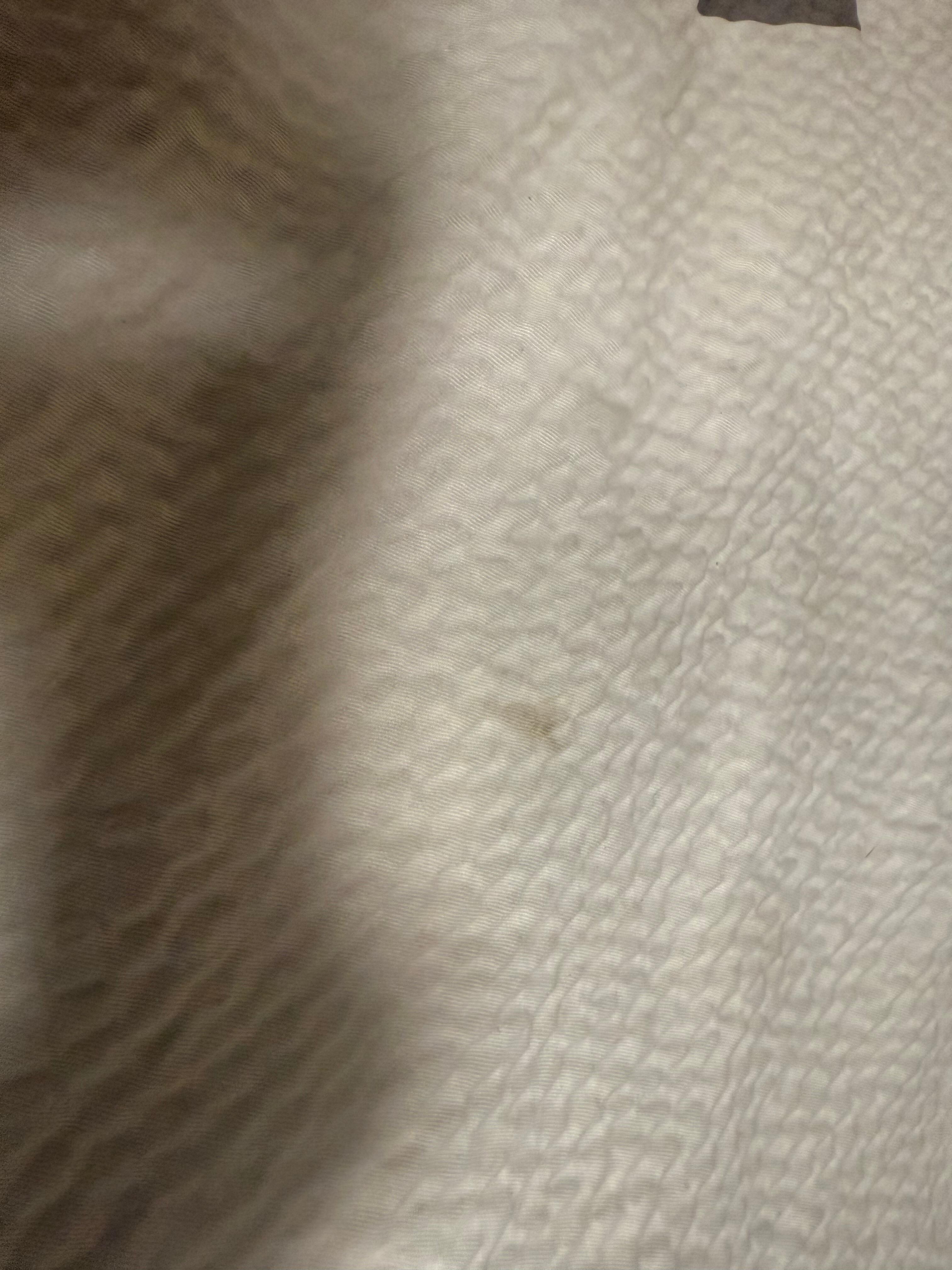 Stained bedspread 