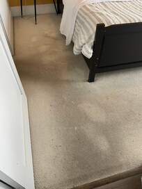 Dirty carpet