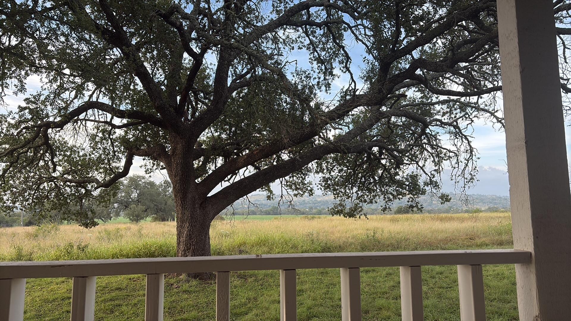 Morning coffee tranquility on the front porch.