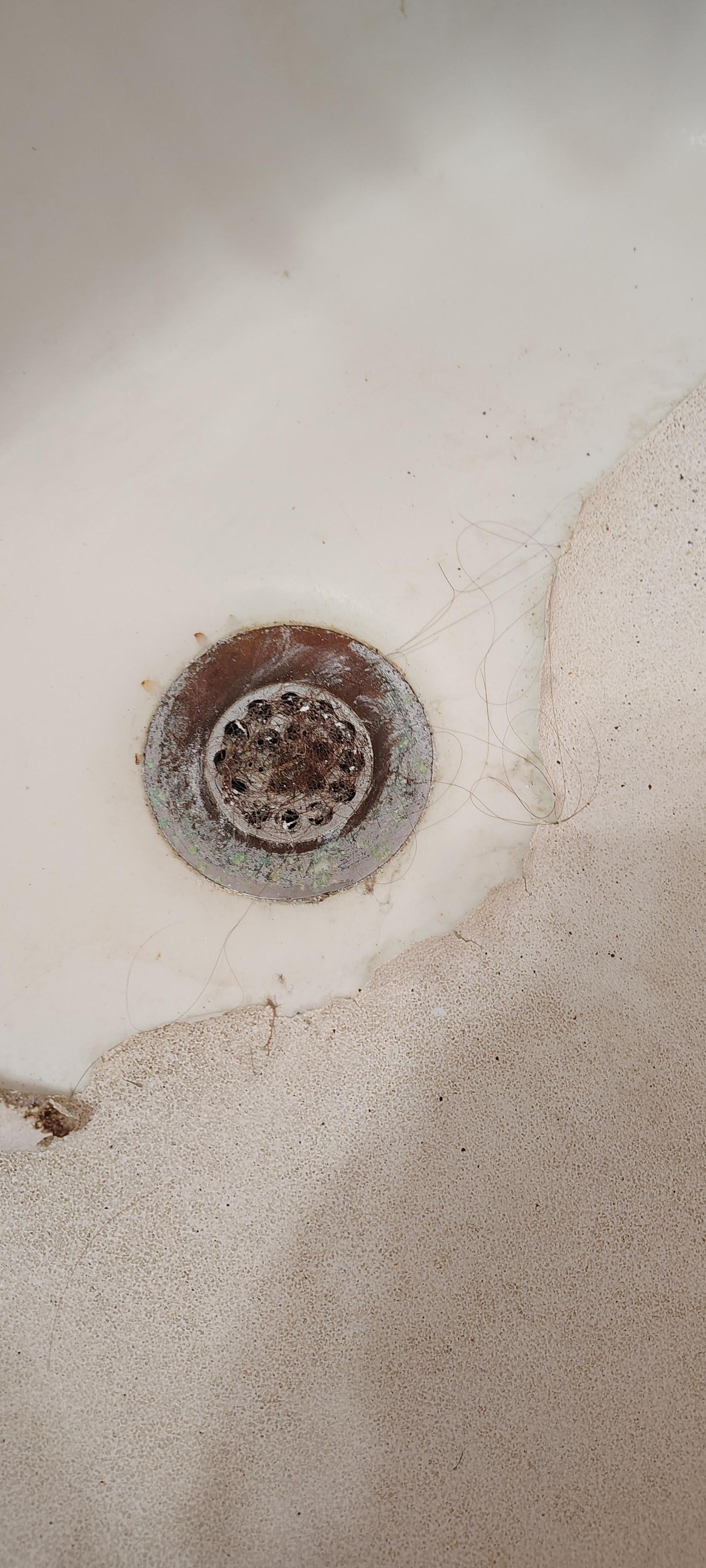 Hair in shower drain upon arrival