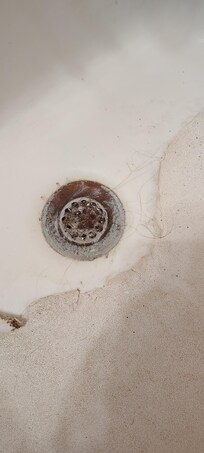Hair in shower drain upon arrival