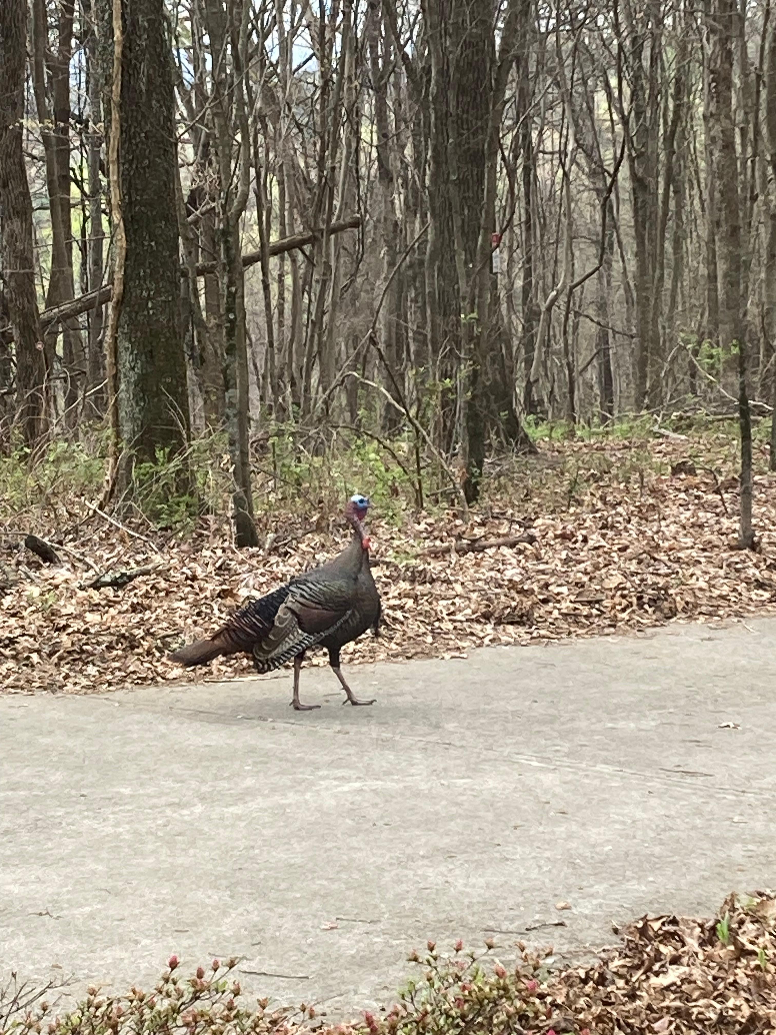 Tommy and his friends joined us