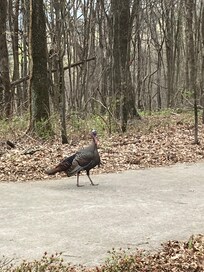 Tommy and his friends joined us