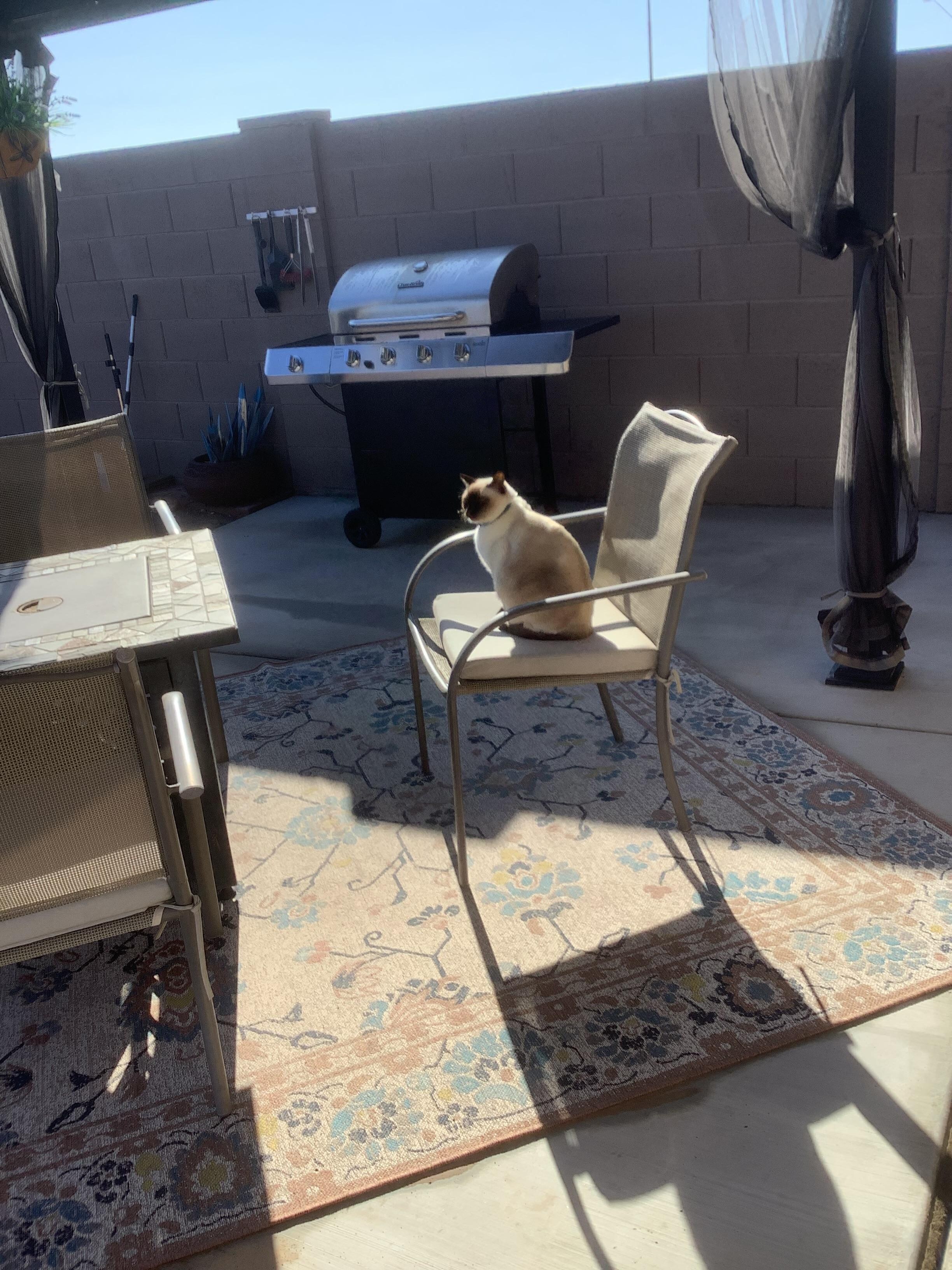 Merlin feels that Stephanie’s place is definitely a superior accommodation. He would visit again