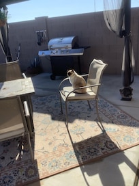 Merlin feels that Stephanie’s place is definitely a superior accommodation. He would visit again