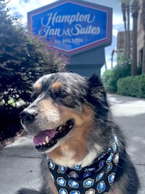 Our Misty Blue.