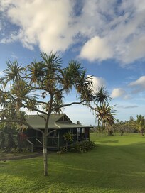 Part of the view from our bungalow