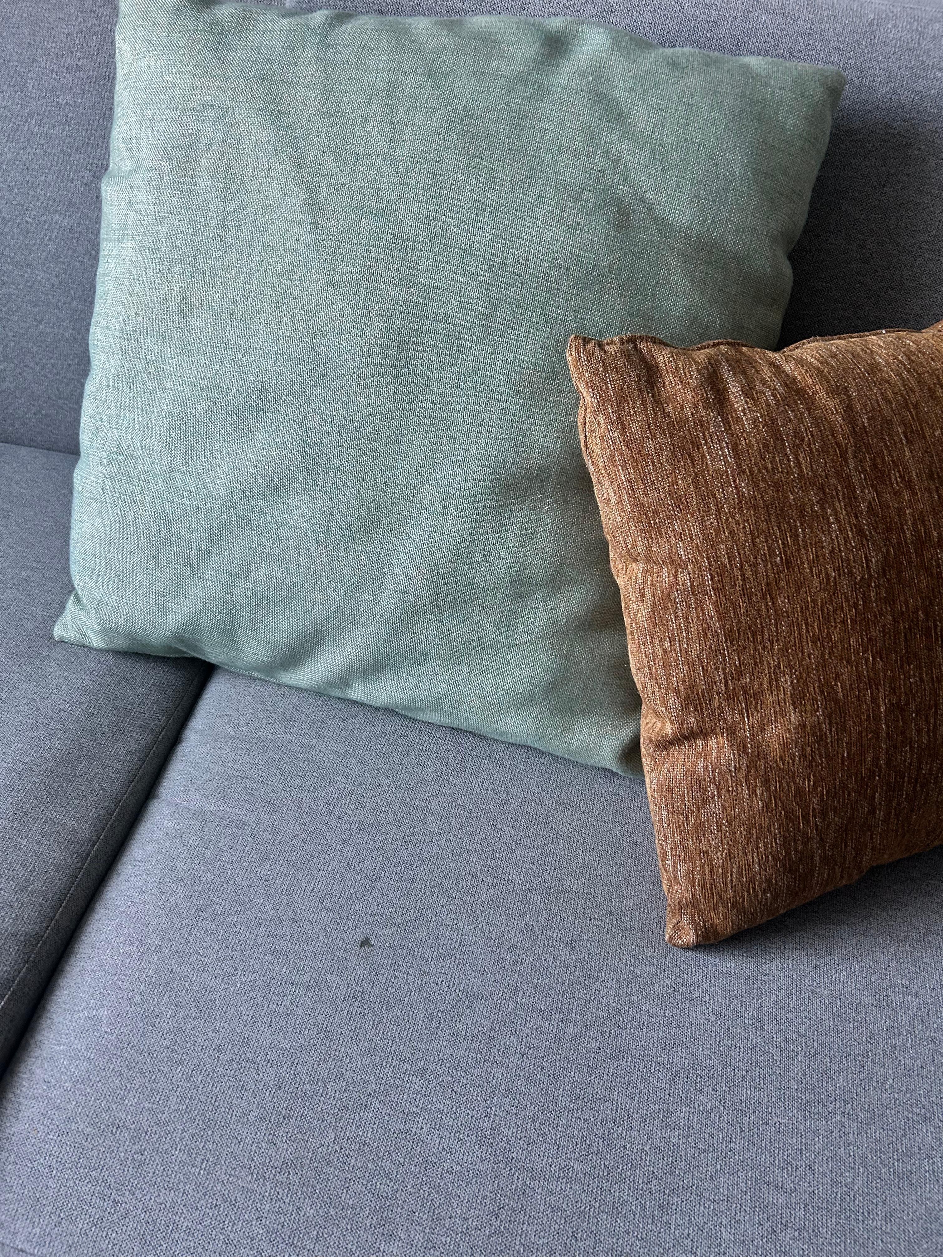 Couch stain, we also found hair. 