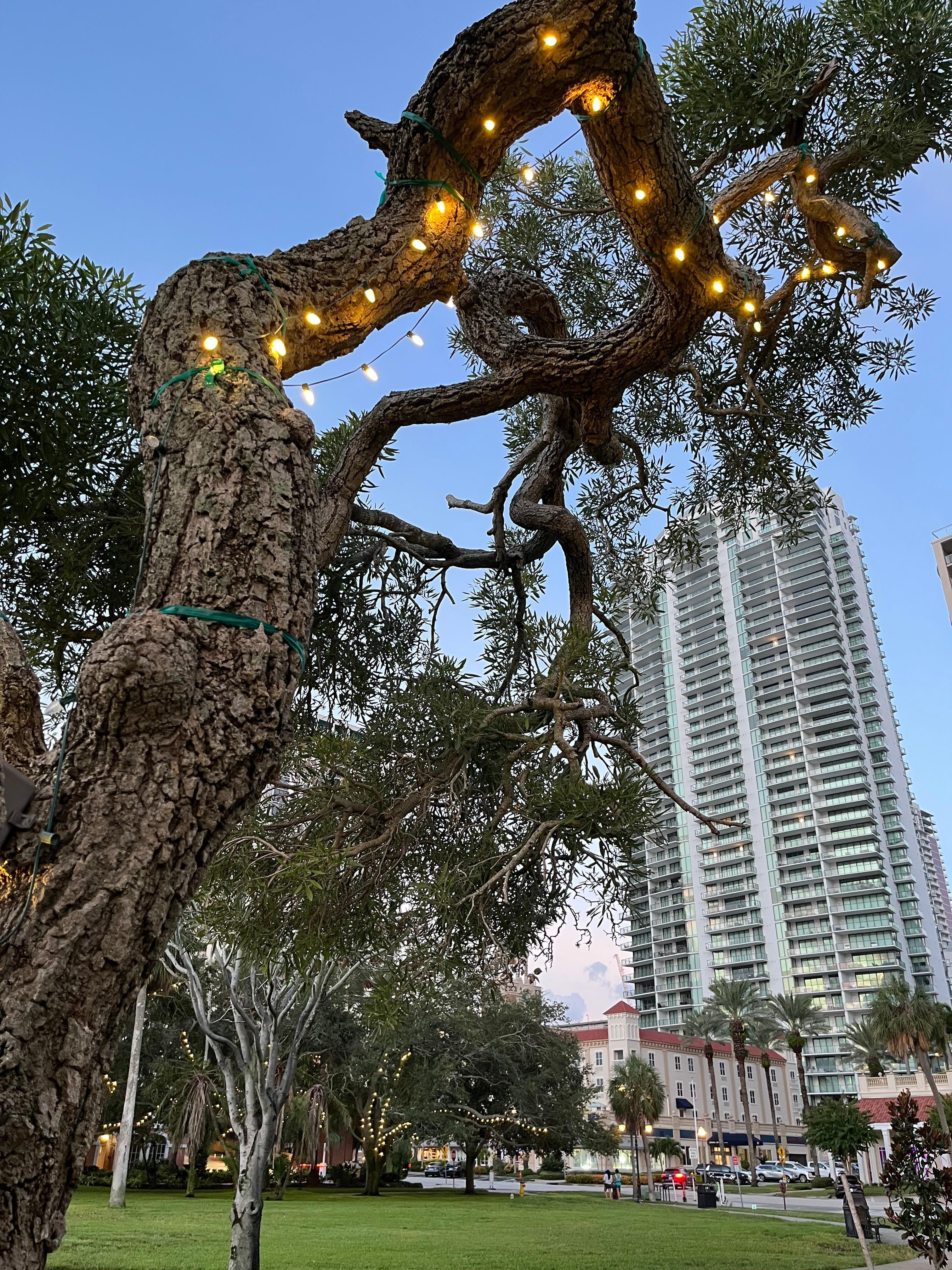 Hampton Inn in bottom right of photo