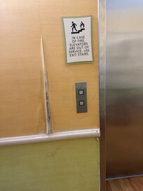 Mold?