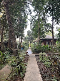 Jungle chalets