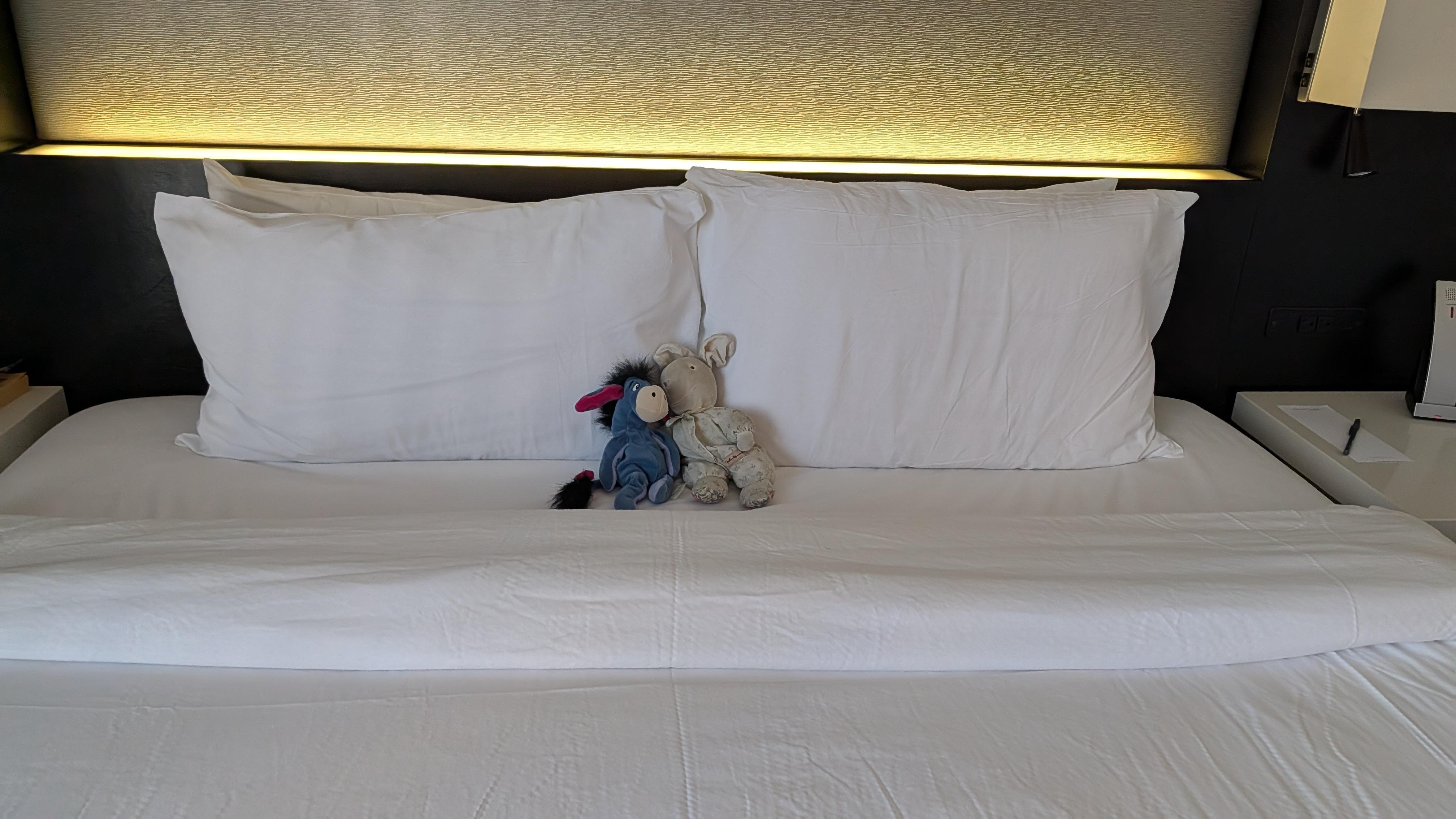 Maid took care with special travel companions