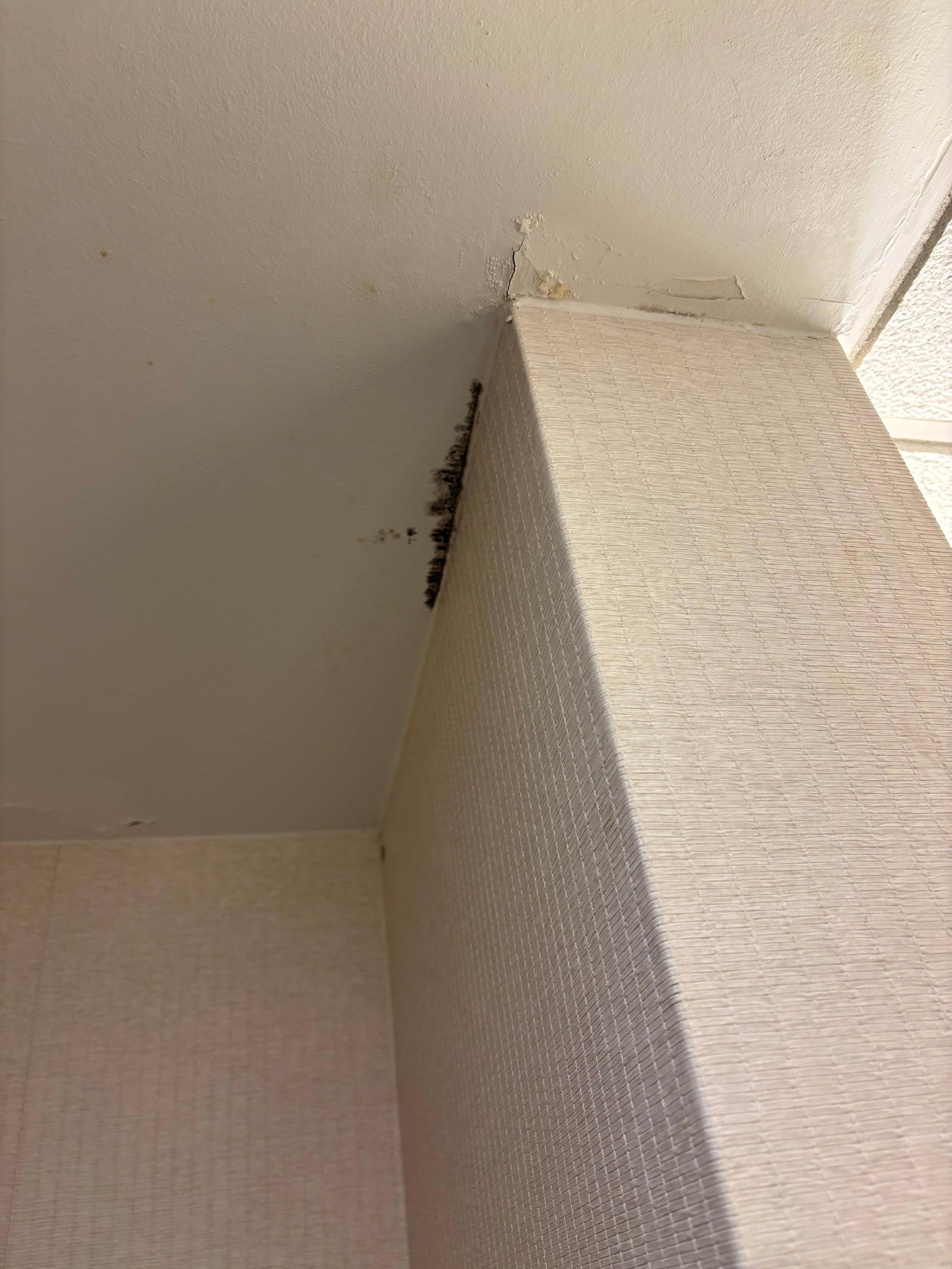 This is from room 648