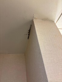 This is from room 648