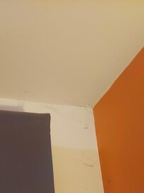 Spider webs in the corners are so thick that I could knit a small shirt. Unacceptable!