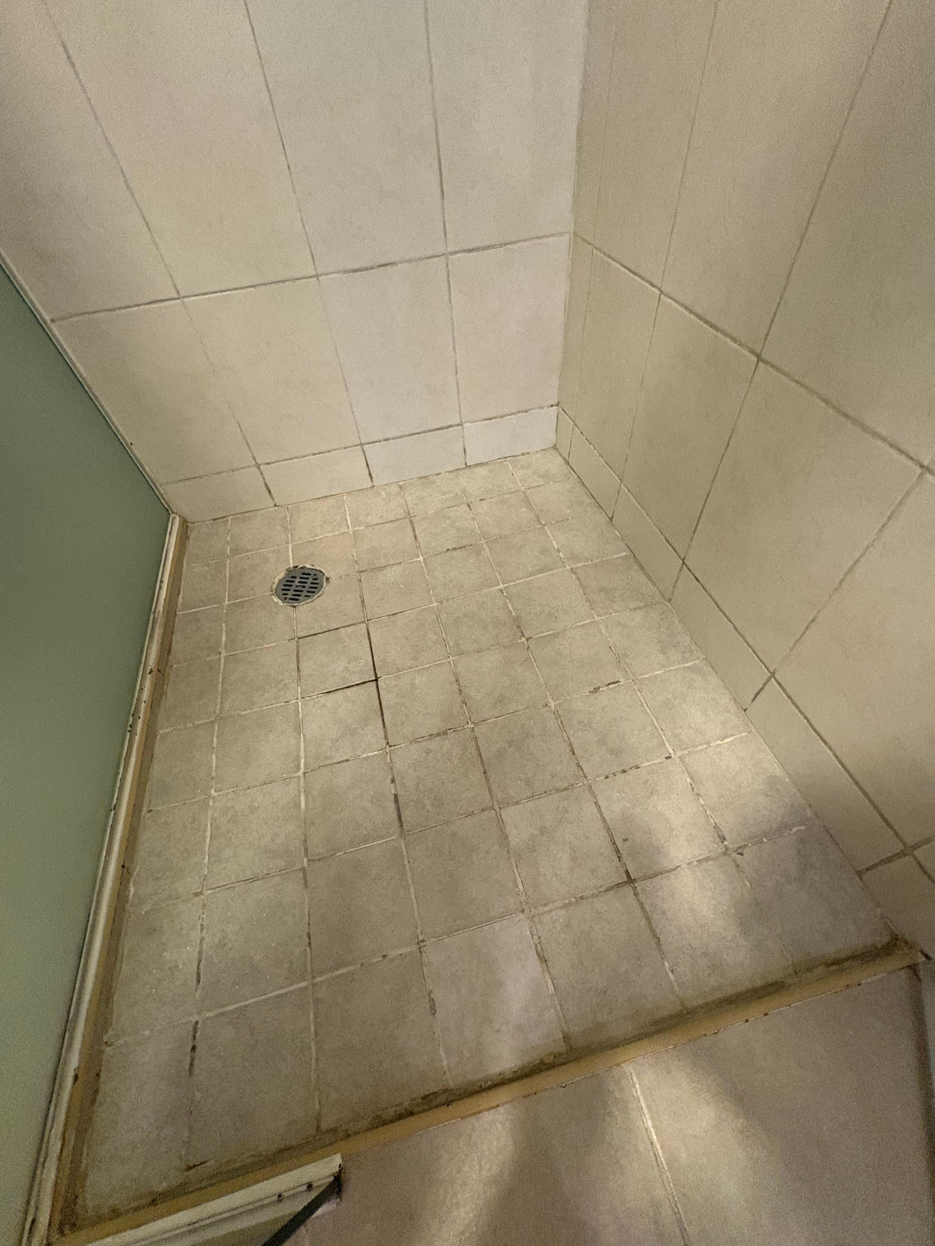 Shower floor with mold, uneven flooring.  