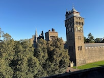 Room with a view