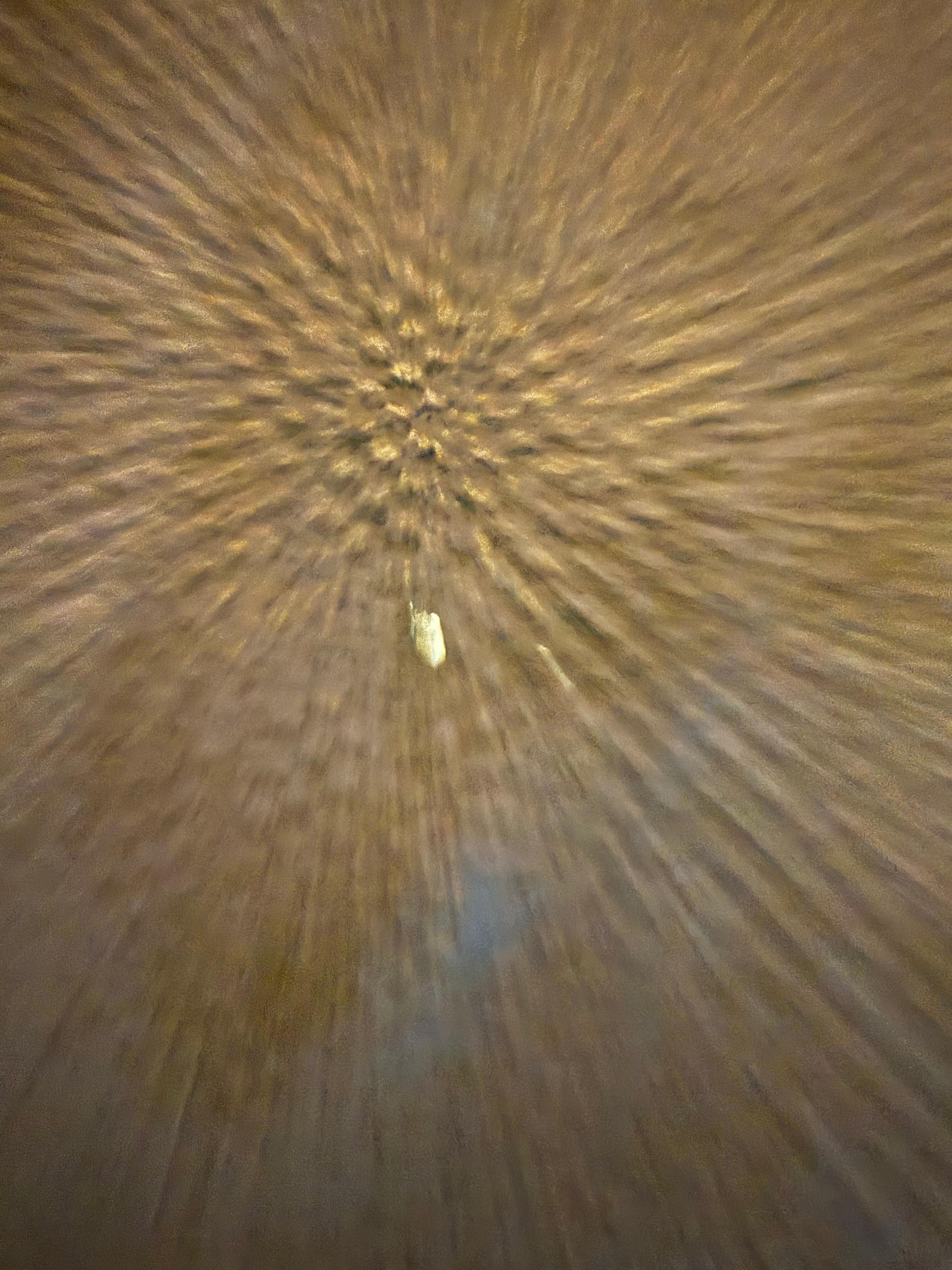Esto es excremento de pajaro
